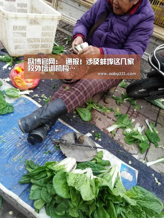 欧博官网:
通报!涉及蚌埠这几家校外培训机构…(图4) abg欧博官网