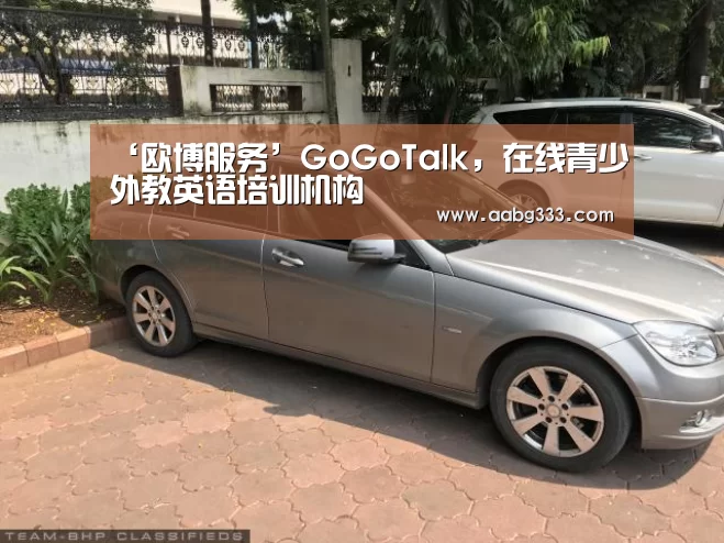 ‘欧博服务’GoGoTalk,在线青少外教英语培训机构(图1) 欧博登入