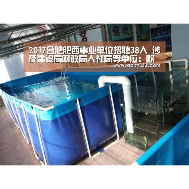 2017合肥肥西事业单位招聘38人 涉及建设局财政局人社局等单位:欧博服务(图3) abg欧博官网