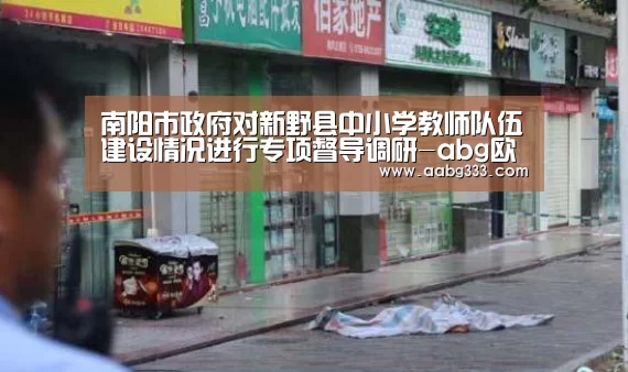 南阳市政府对新野县中小学教师队伍建设情况进行专项督导调研-abg欧博官网(图1) abg欧博官网