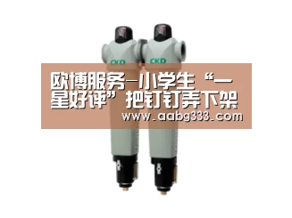 欧博服务-小学生“一星好评”把钉钉弄下架了?应用商店:误传(图2) 欧博服务