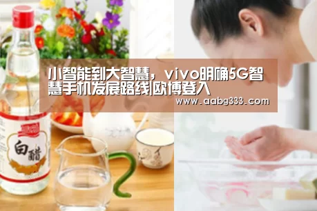 小智能到大智慧,vivo明确5G智慧手机发展路线|欧博登入(图1) abg欧博官网
